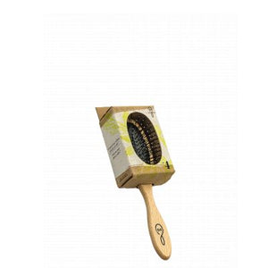 Brosse A Cheveux  Picots Modele N°4 1845